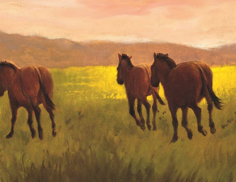 H is for Horse | An Equestrian Alphabet Picture Book