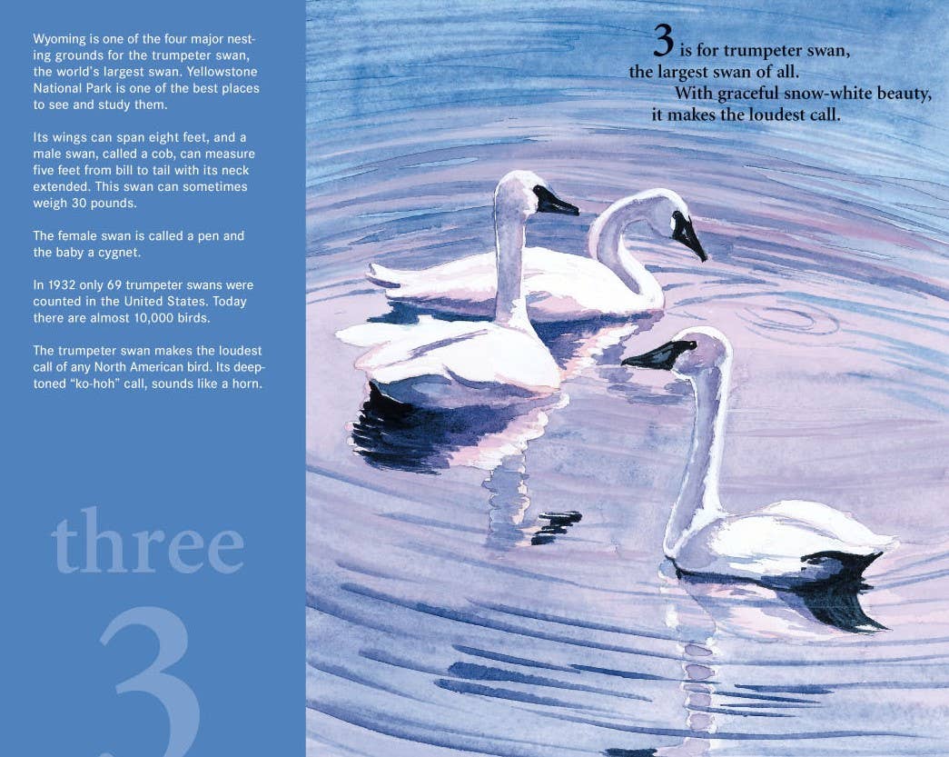 A Wyoming Number Picture Book | Four Wheels West
