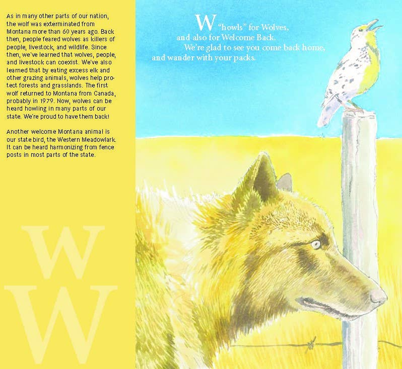 A Montana Alphabet Picture Book | B is for Big Sky Country