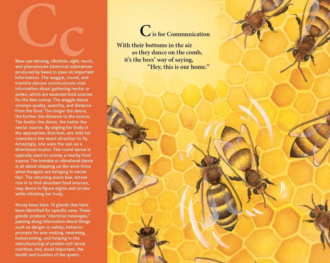 H is for Honey Bee | A Beekeeping Alphabet