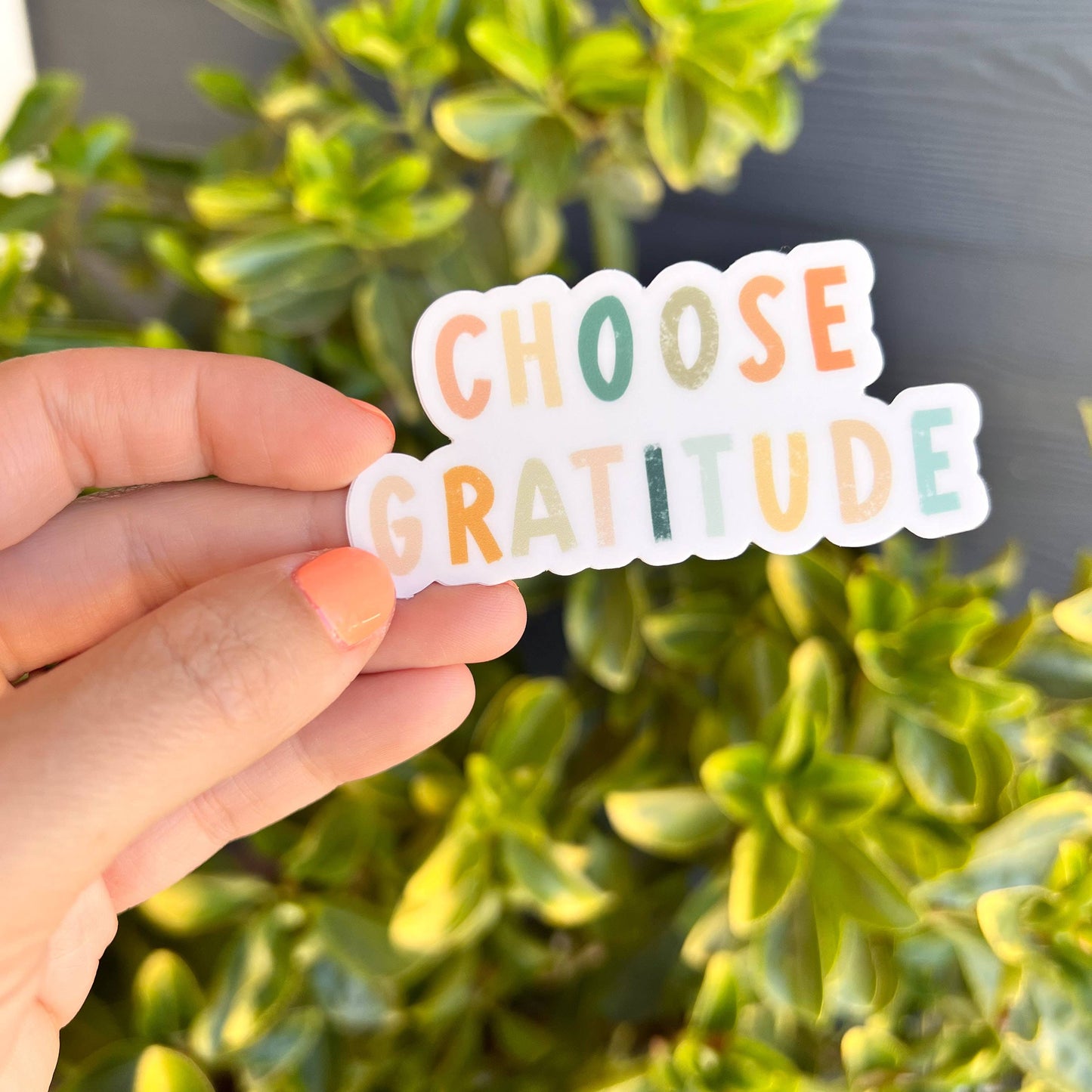 Choose Gratitude | Sticker