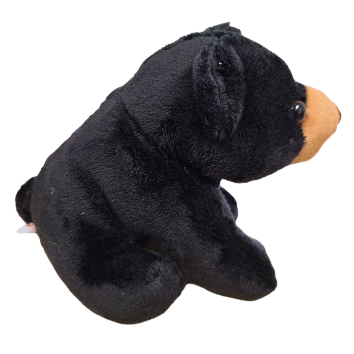 Russ the Canned Black Bear | Stuffed Zoo Plush w/Jokes |Gift: Pop Top Lid