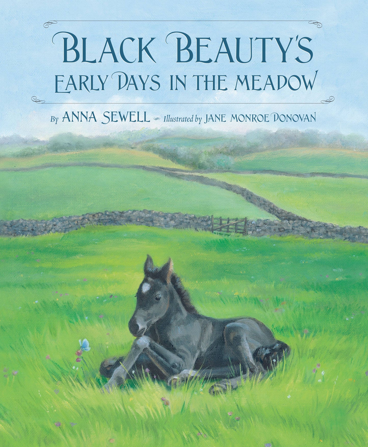 Black Beauty's Early Days | Picture Book