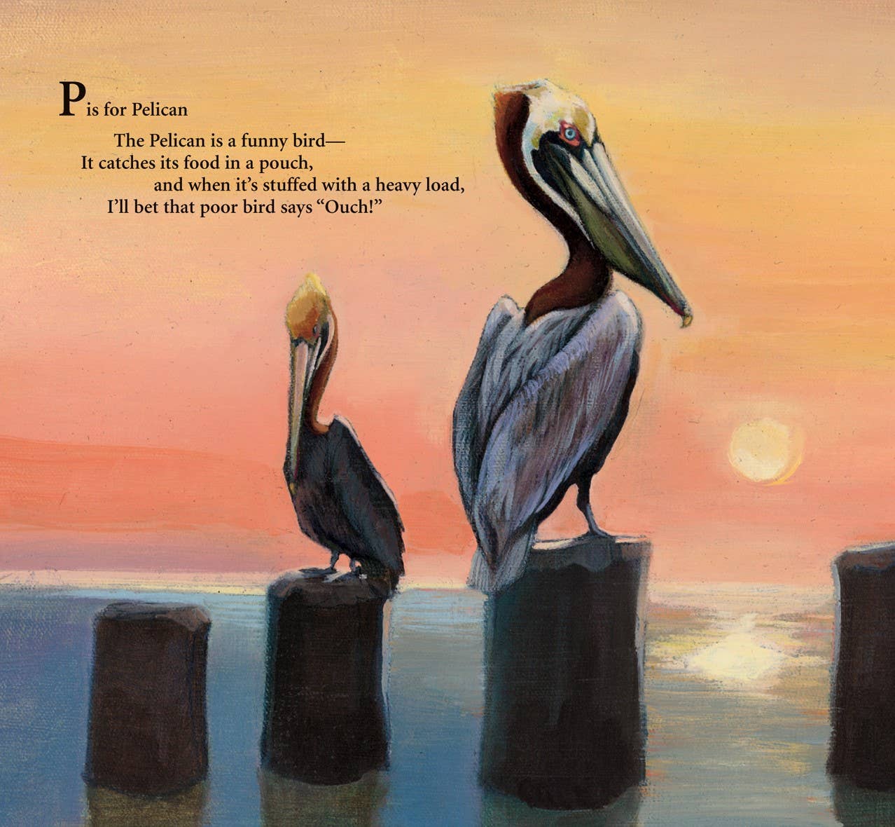 P is for Pelican | A Lousiana Alphabet